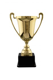 Cupe Sportive PE 07